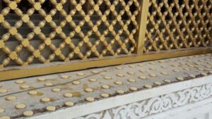 كفاك طارد الحمام والطيور