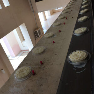 كفاك طارد الحمام