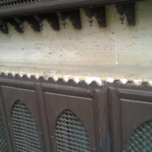 كفاك طارد الحمام والطيور