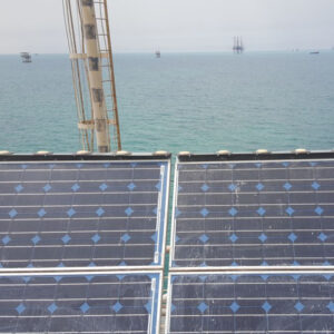 طارد الحمام