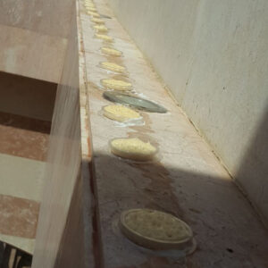 طارد الحمام