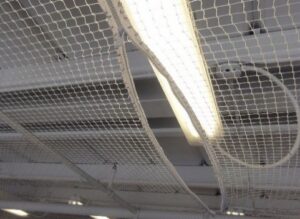 كفاك طارد الحمام والطيور